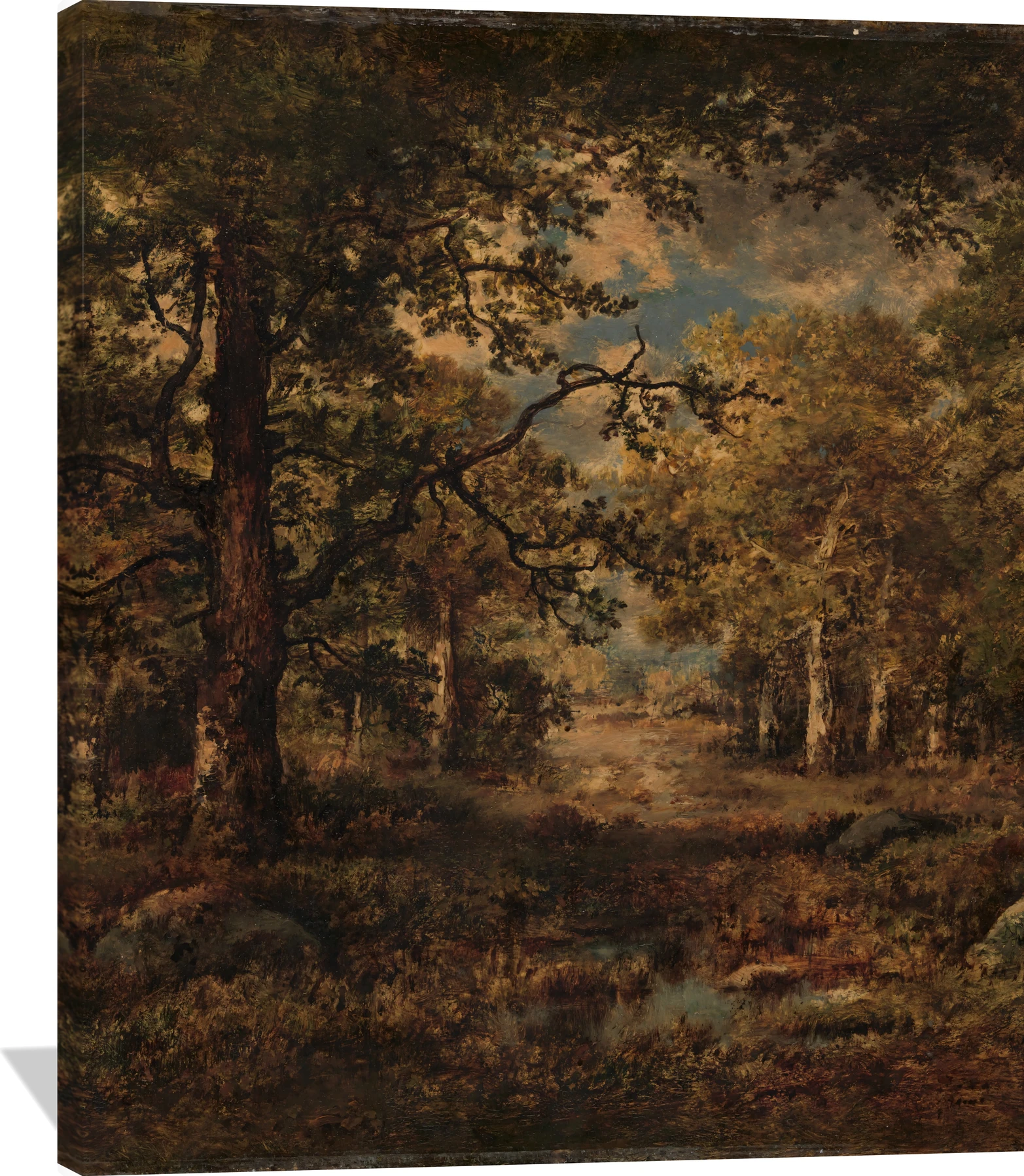 A Vista through Trees: Fontainebleau