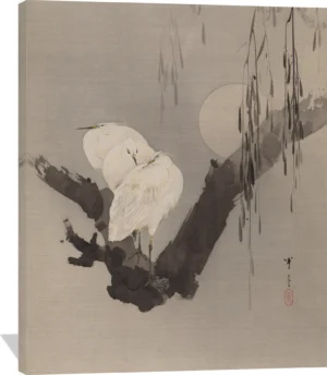 Egrets in a Tree at Night