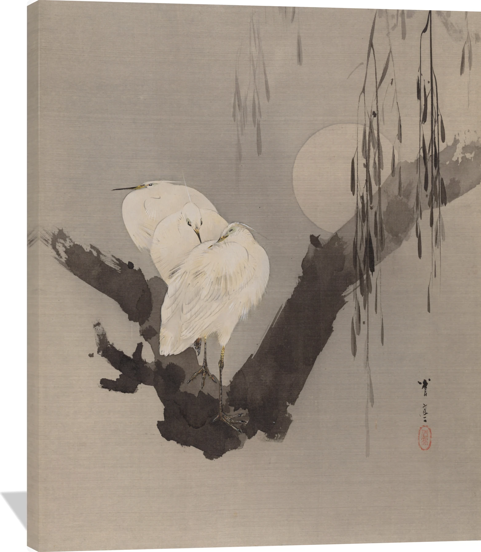 Egrets in a Tree at Night