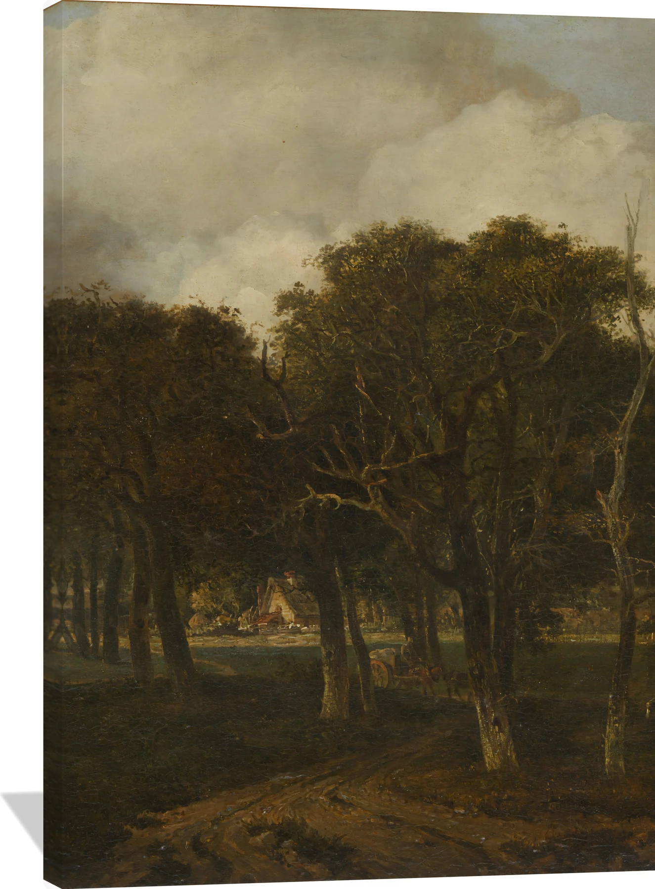 Hautbois Common, Norfolk