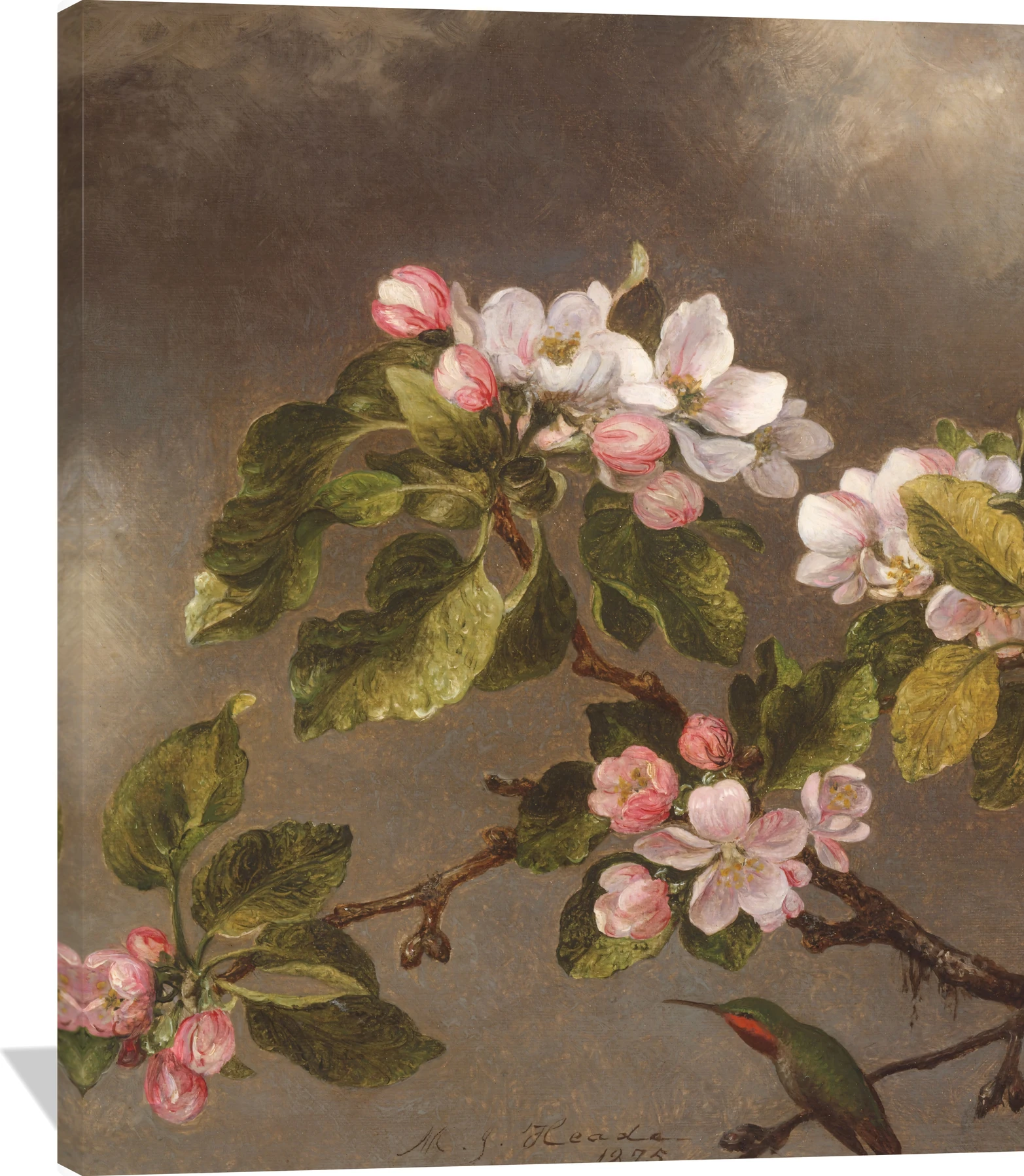 Hummingbird and Apple Blossoms