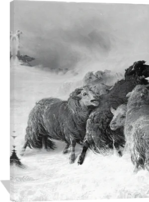 August Friedrich Albrecht Schenck