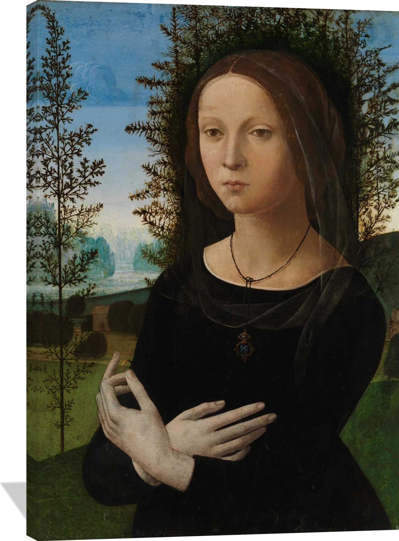 Portrait of a Young Woman