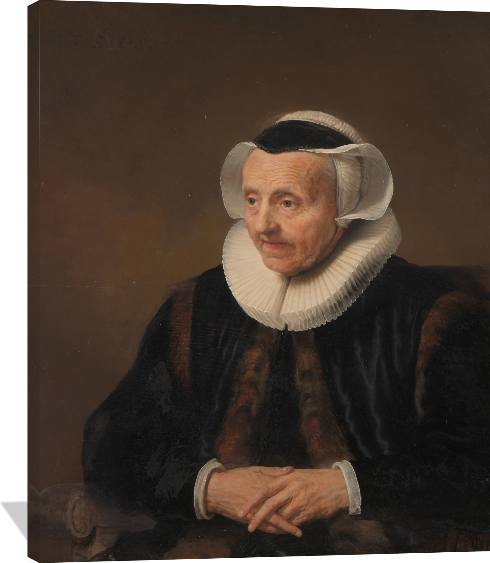 Portrait of an Old Woman