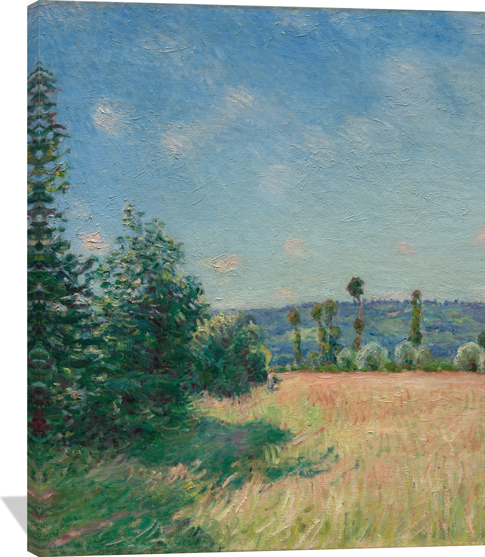 Sahurs Meadows in Morning Sun