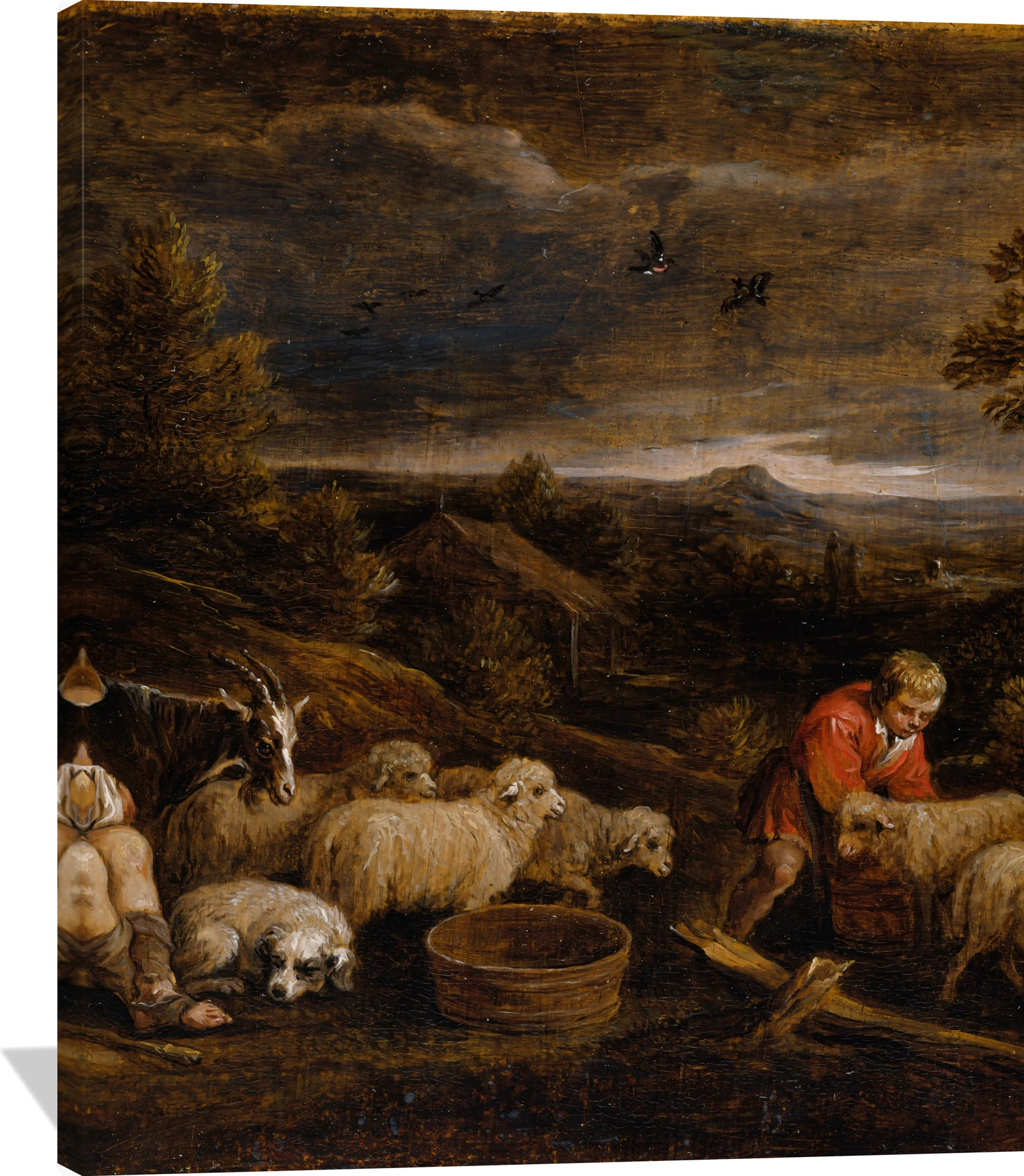 Shepherds and Sheep
