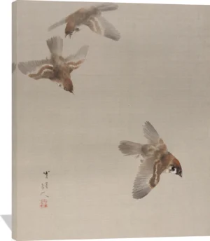 Sparrows Flying