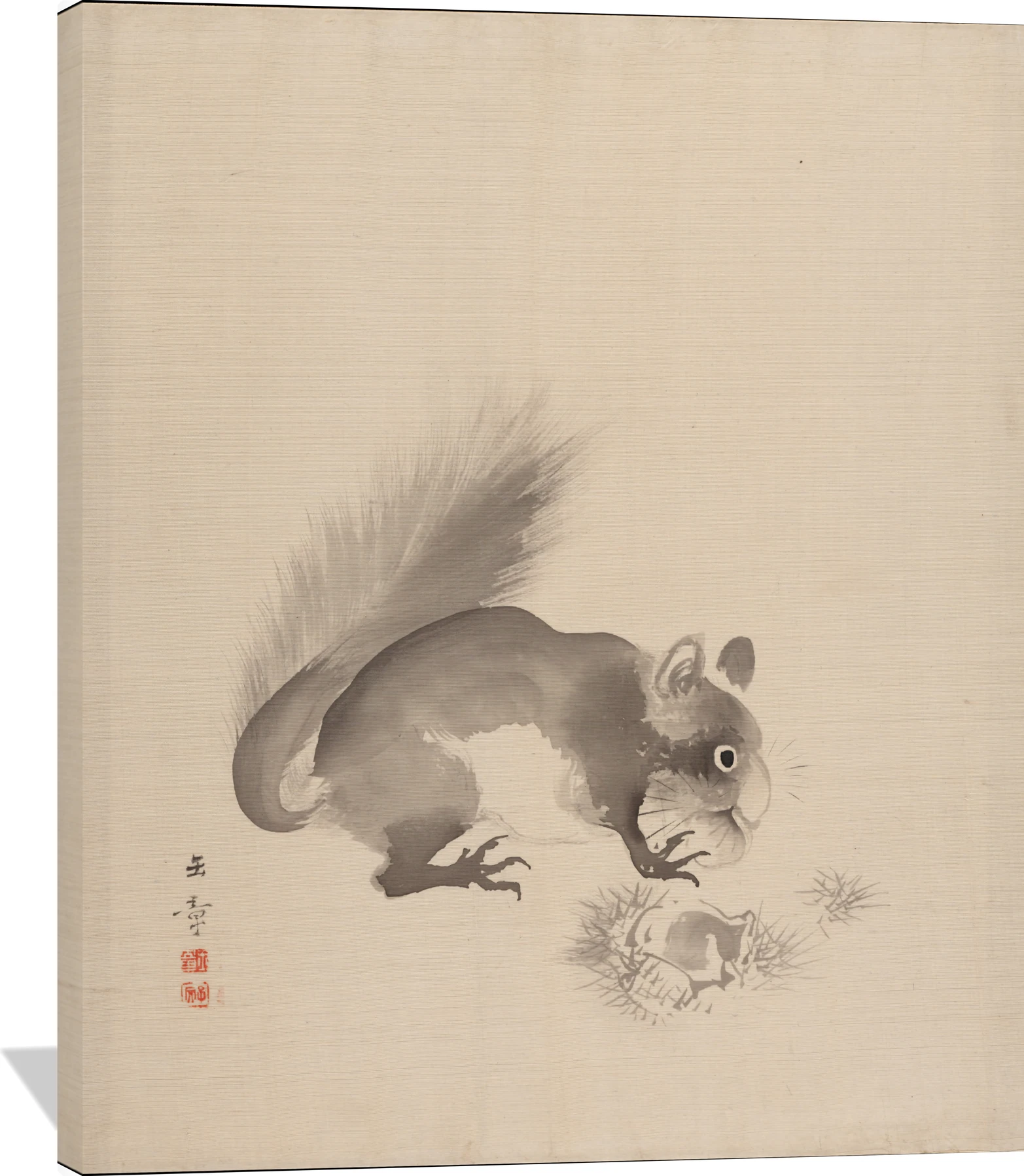 Squirrel Eating Chestnuts