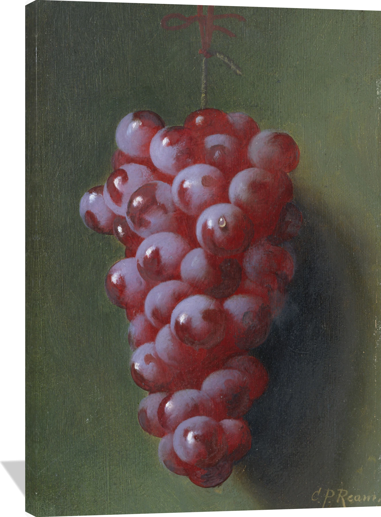 Still Life with Grapes