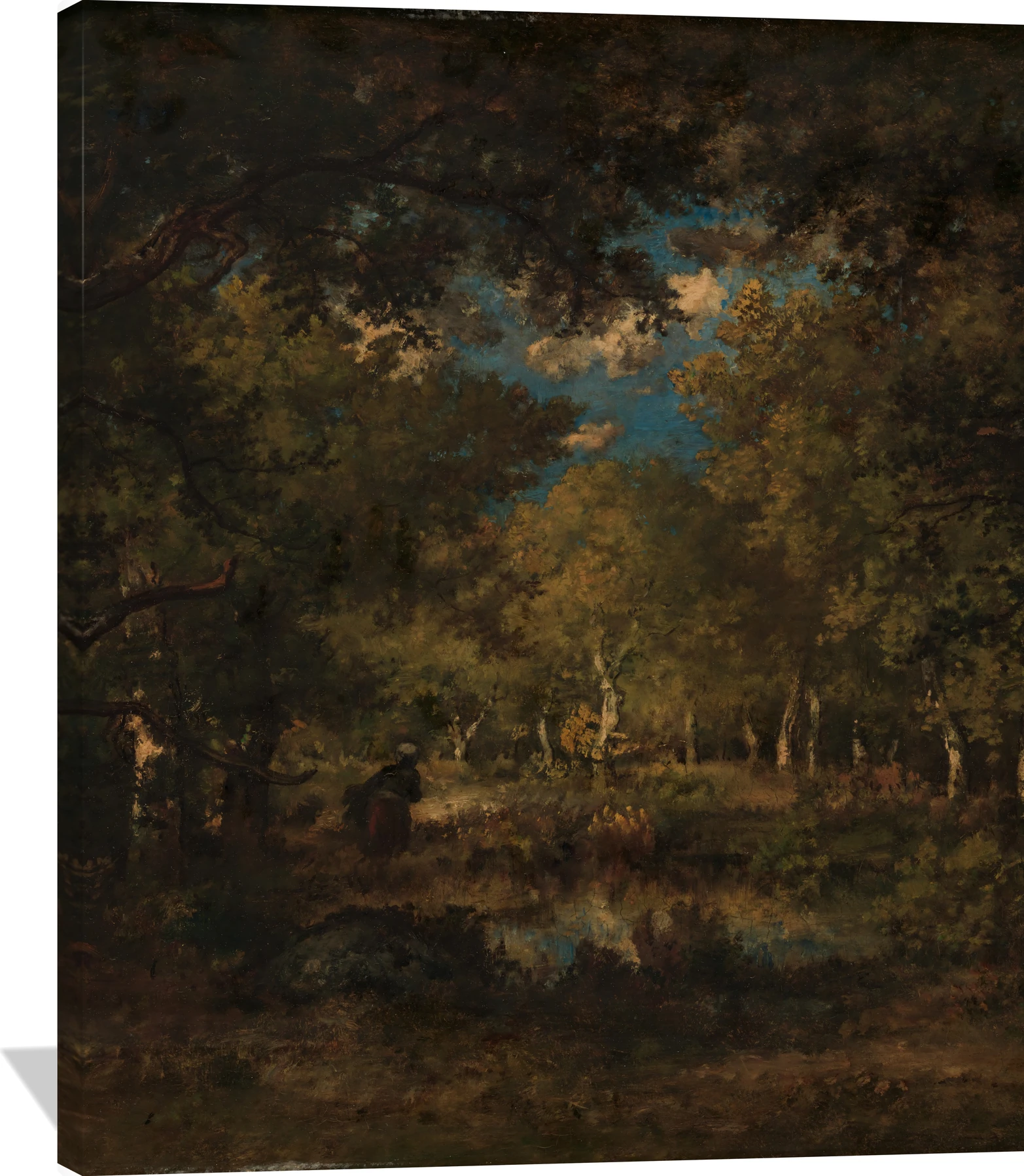 The Forest of Fontainebleau