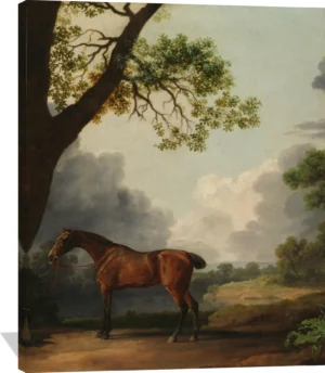 George Stubbs