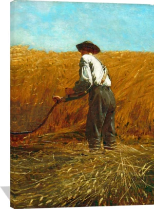 The Veteran in a New Field