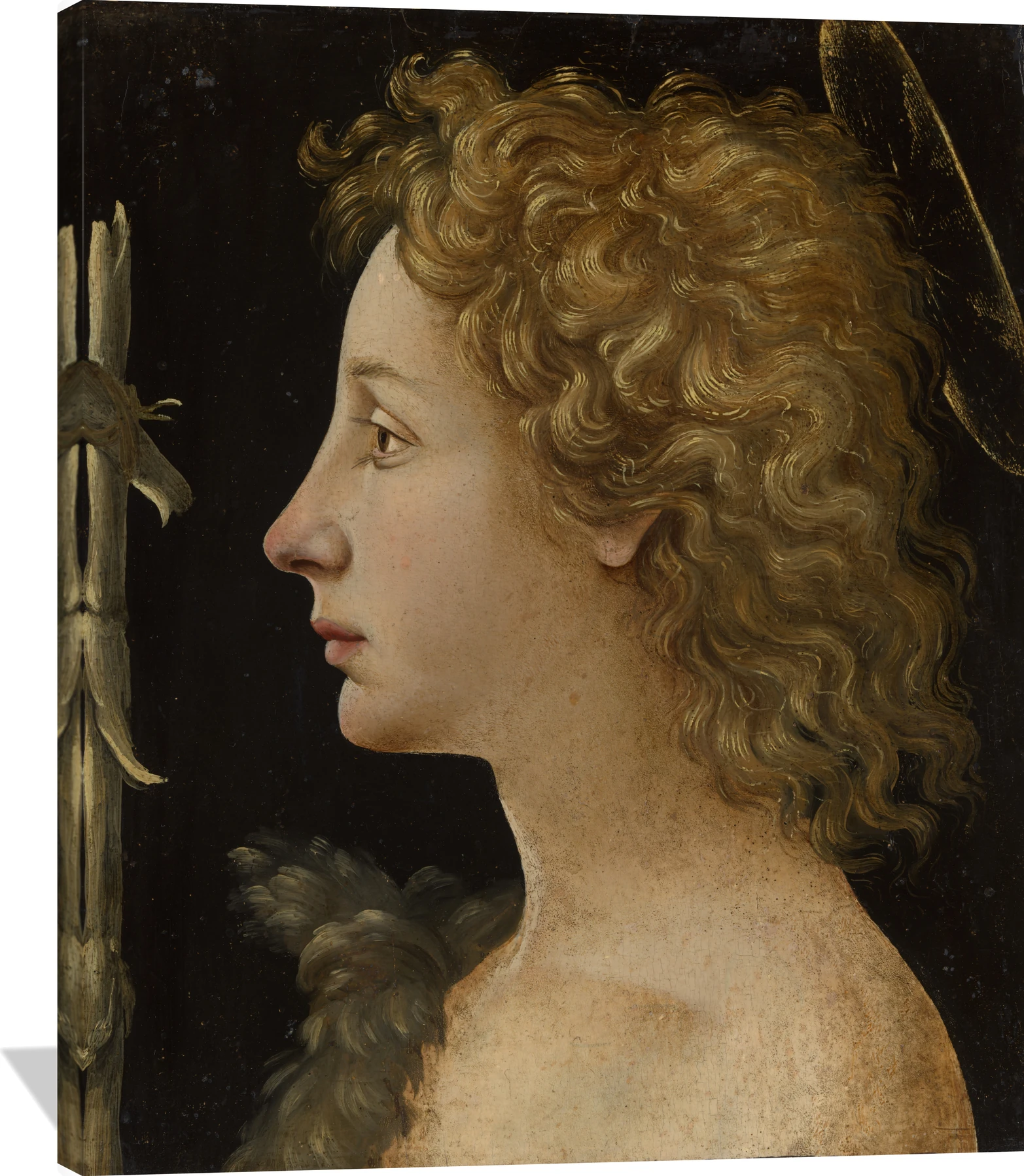 The Young Saint John the Baptist