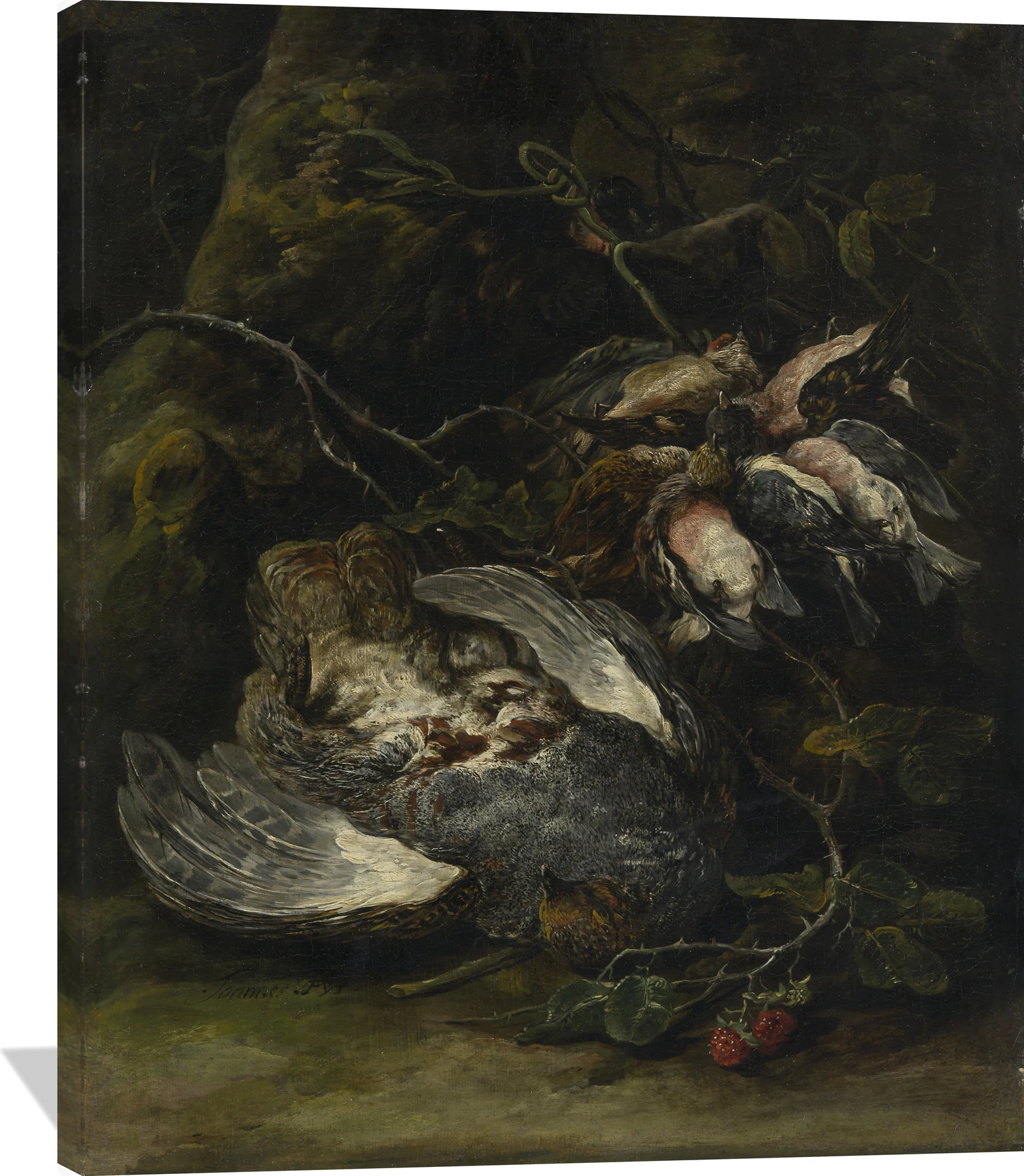 A Partridge and Small Game Birds