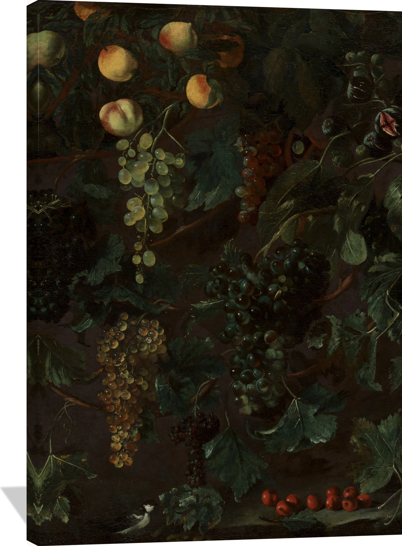 Grape Vines and Fruit, with Three Wagtails