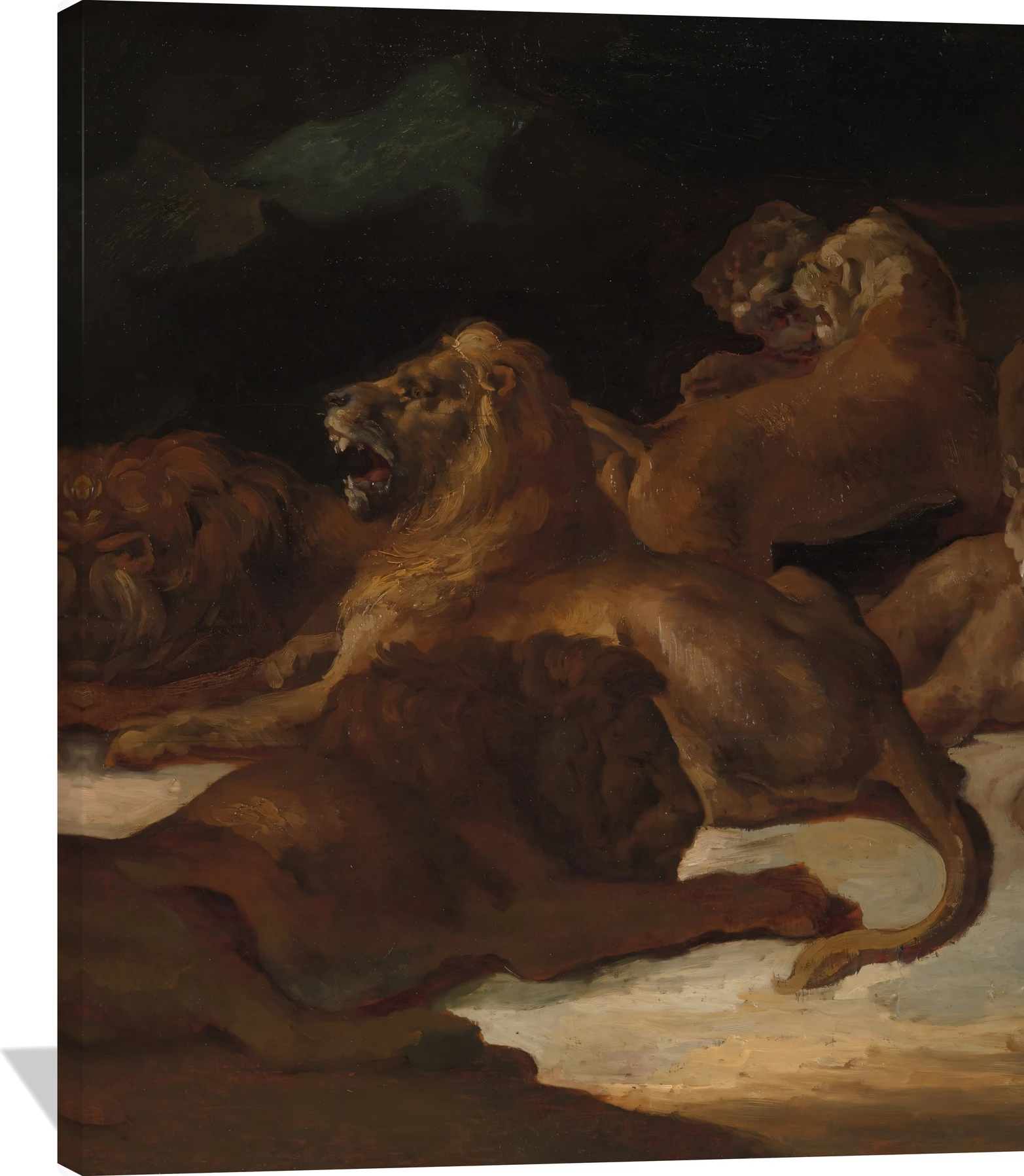 Lions in a Mountainous Landscape