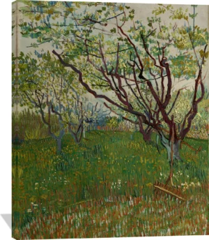 The Flowering Orchard