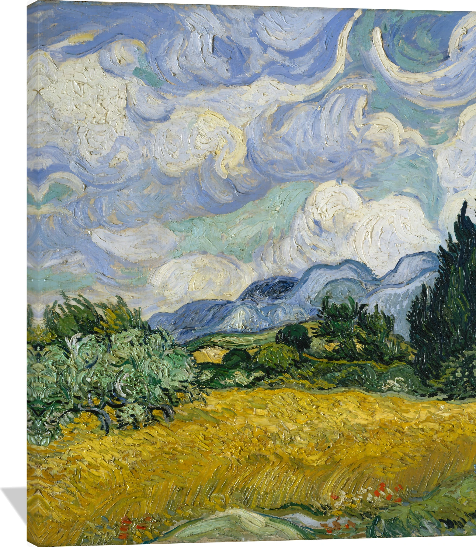 Wheat Field with Cypresses