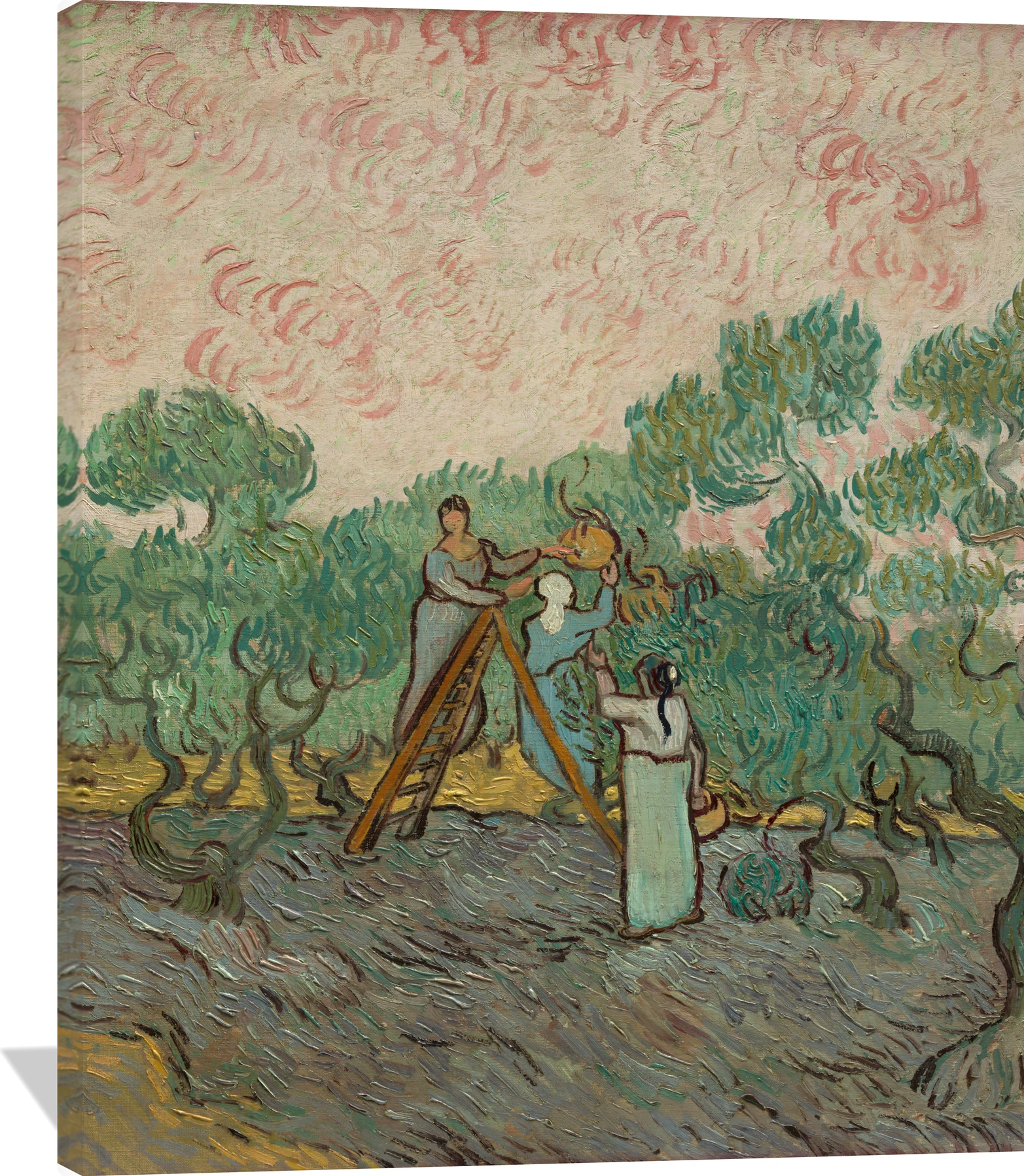 Women Picking Olives